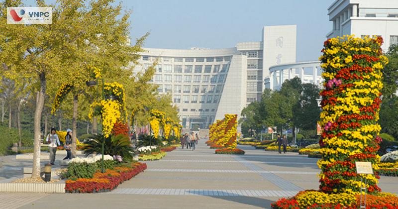  M.77King casino trực tuyến Thượng Hải